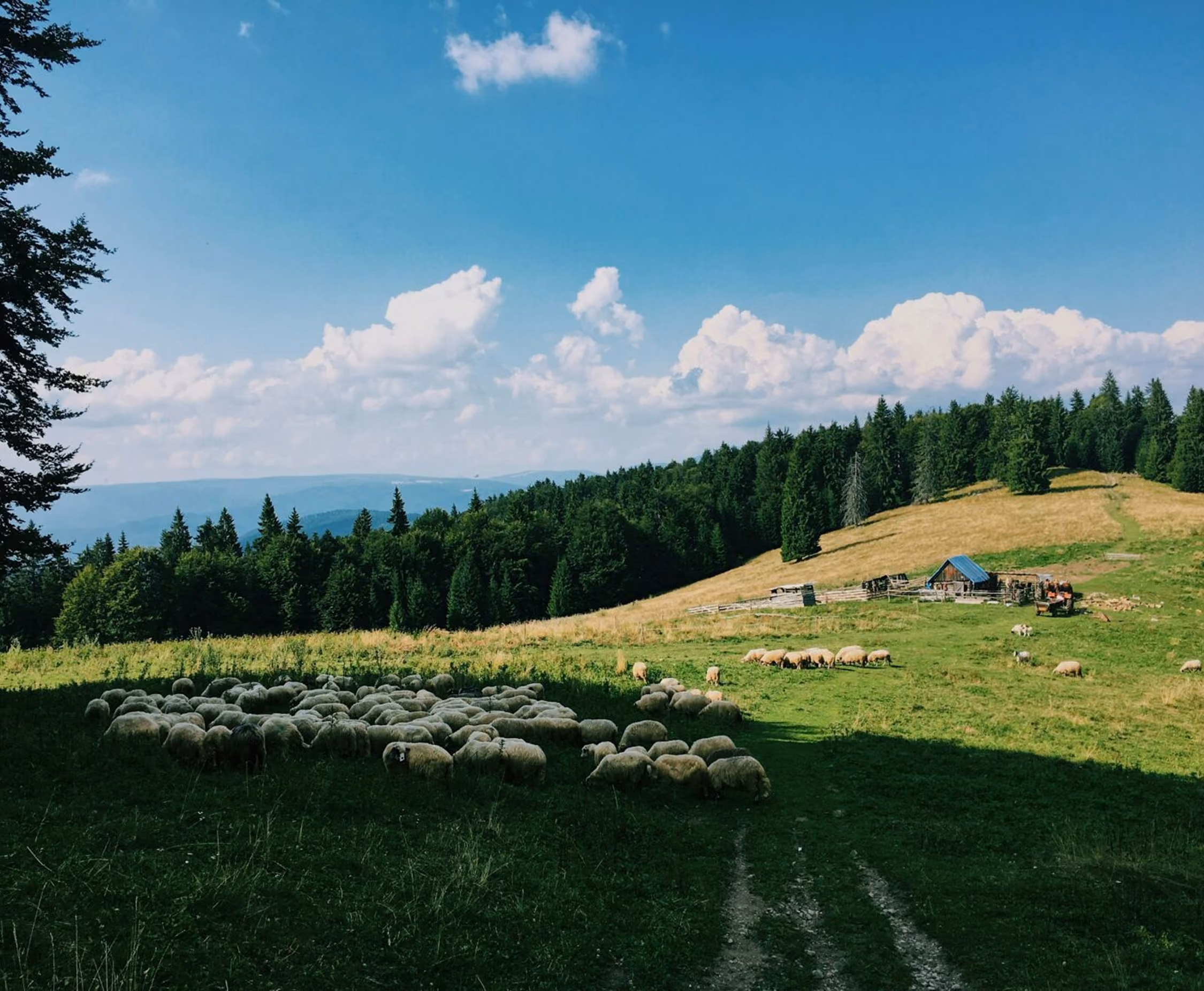 Vue de Alpe d’Huez