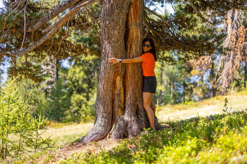 Femme dans la nature qui rigole en faisant un câlin à un arbre lors d'un week-end entre copines à la montagne